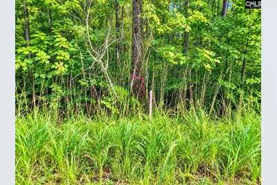 667 Counts Road #B, Prosperity, SC 29127 - Photo 3