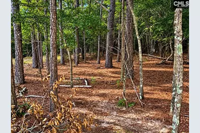 Tbd Beaker Road, Heath Springs, SC 29058 - Photo 3