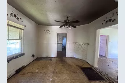 390 Holly Street, Winnsboro, SC 29180 - Photo 7