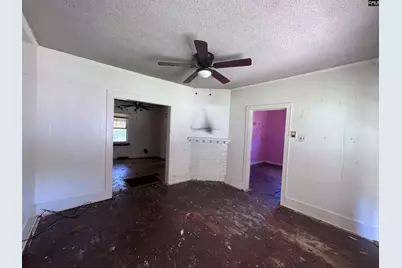 390 Holly Street, Winnsboro, SC 29180 - Photo 3