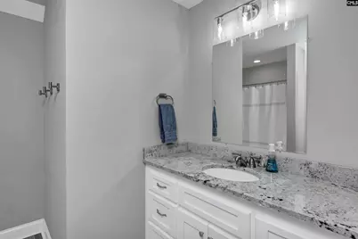281 Mary Drive, Chapin, SC 29036 - Photo 61