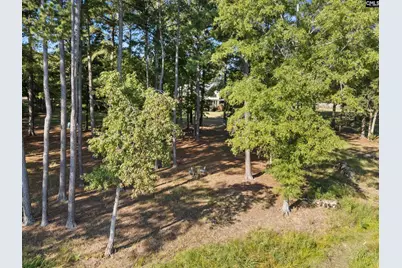 438 Peninsula Drive, Prosperity, SC 29127 - Photo 47