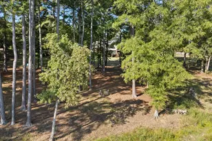 438 Peninsula Dr, Prosperity, SC 29127 - Photo 47