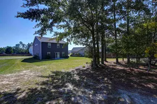 226 Crassula Dr, Lexington, SC 29073 - Photo 69