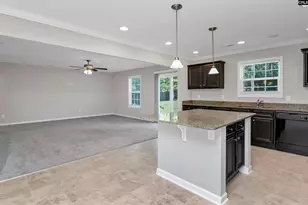 226 Crassula Dr, Lexington, SC 29073 - Photo 23