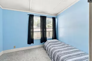 434 Blacksgate E, Prosperity, SC 29127 - Photo 19
