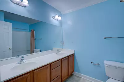 3 Blue Mountain Court, Irmo, SC 29063 - Photo 25