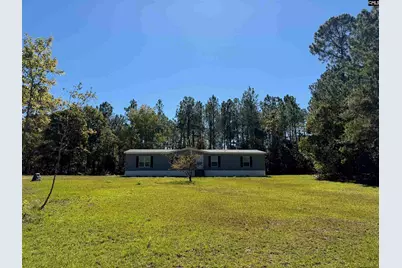 160 Hollow Stump Road, Pelion, SC 29123 - Photo 3