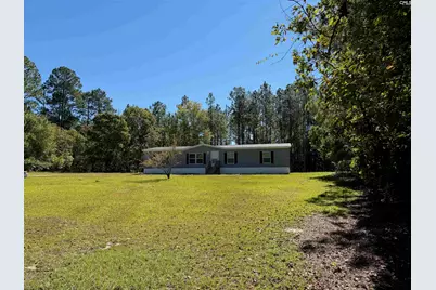 160 Hollow Stump Road, Pelion, SC 29123 - Photo 5