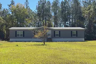 160 Hollow Stump Rd, Pelion, SC 29123 - Photo 1