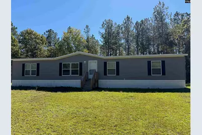 160 Hollow Stump Road, Pelion, SC 29123 - Photo 7