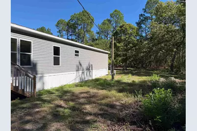 160 Hollow Stump Road, Pelion, SC 29123 - Photo 15
