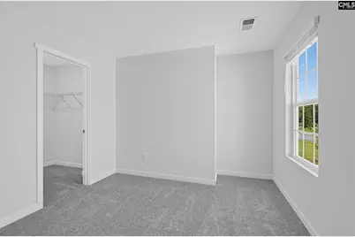 2020 Dipsody Boulevard, Pelion, SC 29123 - Photo 23
