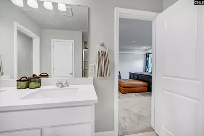 149 Monroe Preserve Drive, Chapin, SC 29036 - Photo 29
