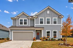 149 Monroe Preserve Dr, Chapin, SC 29036 - Photo 1