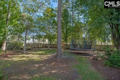 25 Dewberry Lane, Elgin, SC 29045 - Photo 37