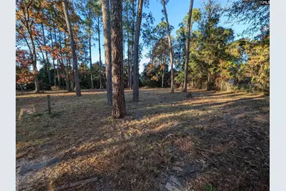 1003 Oakland Drive, Elgin, SC 29045 - Photo 19