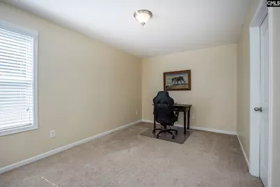304 Millhouse Lane, Lexington, SC 29072 - Photo 47