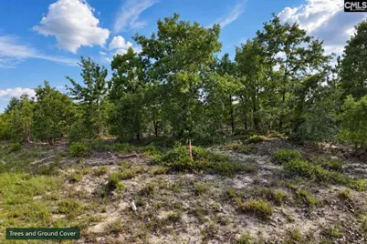 0 Lot 3 Old Georgetown Road, Cassatt, SC 29032 - Photo 13