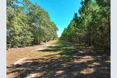 801 Piney Branch Road, Eastover, SC 29044 - Photo 21