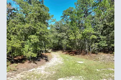 801 Piney Branch Road, Eastover, SC 29044 - Photo 23