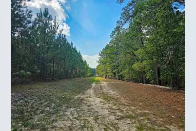 801 Piney Branch Road, Eastover, SC 29044 - Photo 55
