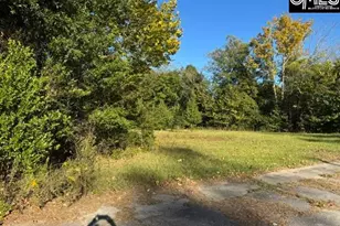 0 Charleston Hwy, Bowman, SC 29018 - Photo 1