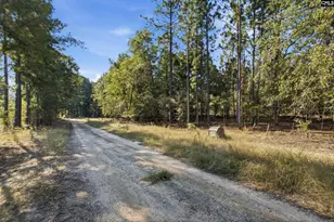 177 Pointers Path, Camden, SC 29020 - Photo 1