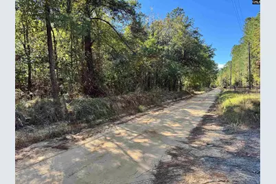 351 Camp Branch Road, Leesville, SC 29070 - Photo 1