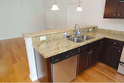 104 Saluda Springs Court, Lexington, SC 29072 - Photo 9