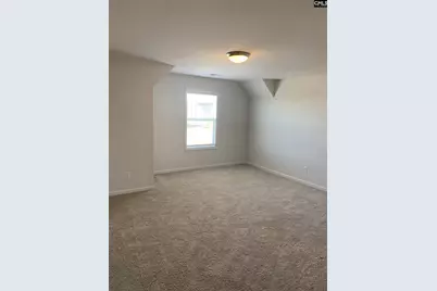 716 Spring Cress Drive, Lexington, SC 29073 - Photo 19