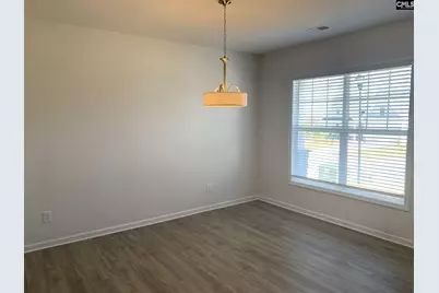 716 Spring Cress Drive, Lexington, SC 29073 - Photo 3
