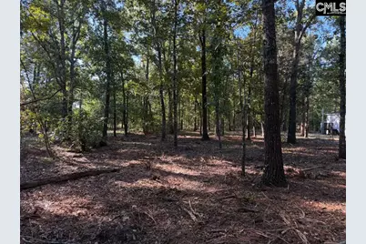 146 Fox Forest Drive, Swansea, SC 29160 - Photo 25