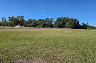 1439 Olin Rd, Summerton, SC 29148 - Photo 37
