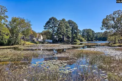 107 Mockingbird Court, Lexington, SC 29073 - Photo 33