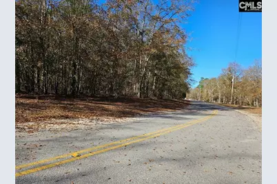 275 Twin Lakes Road, Neeses, SC 29107 - Photo 1