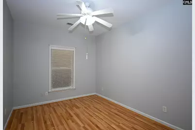 46 Tall Palmetto Lane, Lexington, SC 29072 - Photo 17