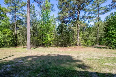 427 Seegars Mill Road, Camden, SC 29020 - Photo 15