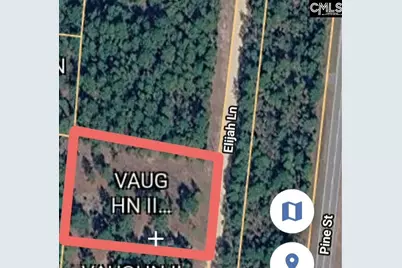 Tbd Elijah Lane, Pelion, SC 29123 - Photo 3