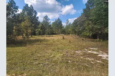 Tbd Elijah Lane, Pelion, SC 29123 - Photo 1