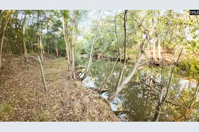1675 Manville Saint Charles Road, Bishopville, SC 29010 - Photo 11