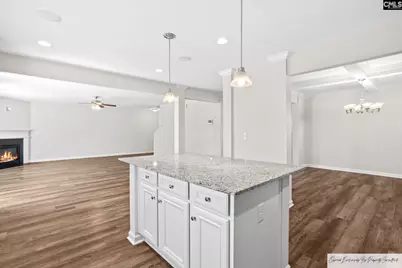 124 Texas Black Way, Elgin, SC 29045 - Photo 11