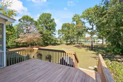 108 Louthian Way, Blythewood, SC 29016 - Photo 41