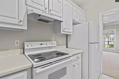 108 Louthian Way, Blythewood, SC 29016 - Photo 27