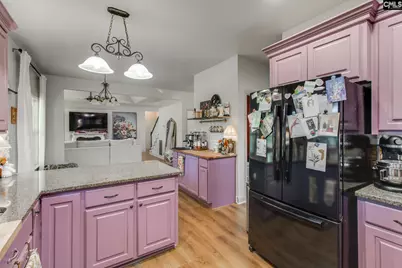 28 Bird Song Lane, Elgin, SC 29045 - Photo 17