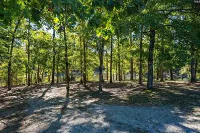 358 Shelter Bay Drive, Prosperity, SC 29127 - Photo 25