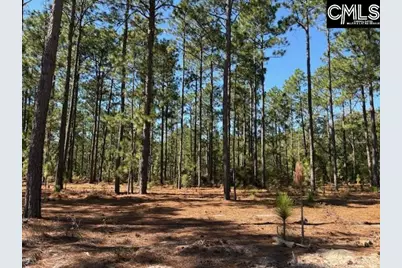1414 Martin Smith Road, Leesville, SC 29070 - Photo 19