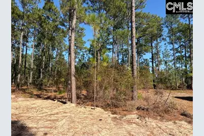 1414 Martin Smith Road, Leesville, SC 29070 - Photo 21