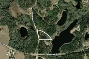 Tbd Cotton Branch Rd, Leesville, SC 29070 - Photo 1