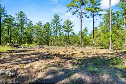 6A Plantation Pointe Road, Ridgeway, SC 29130 - Photo 11